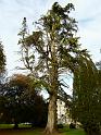 Johnstown Castle - 033